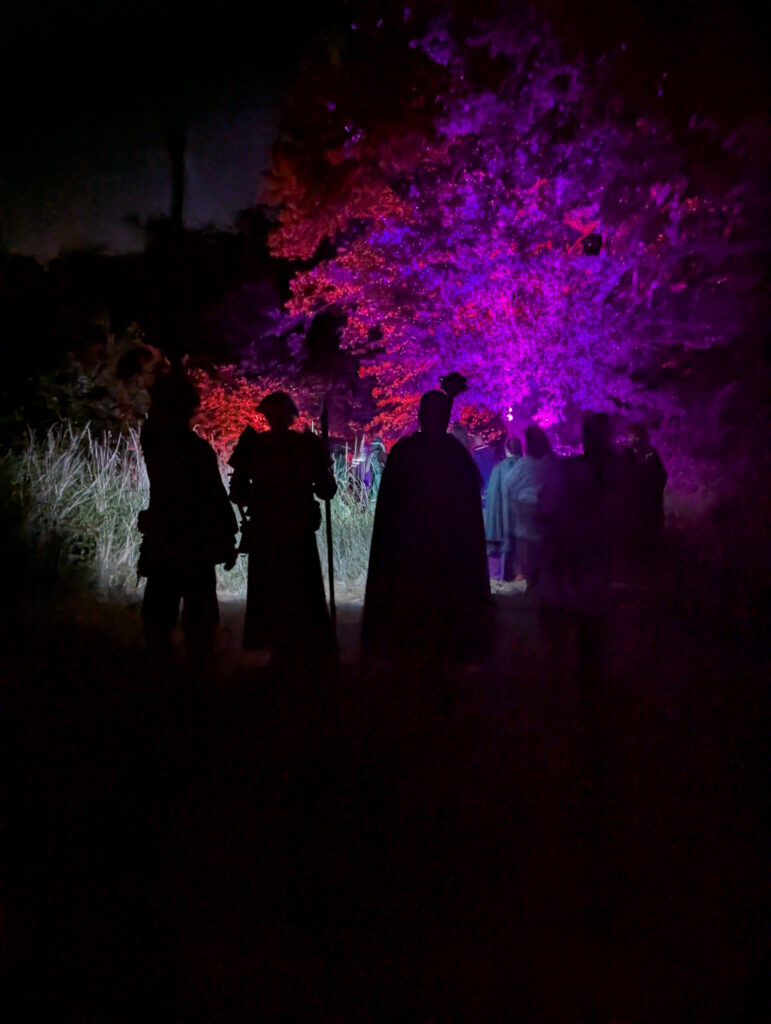Rituel de nuit devant un arbre